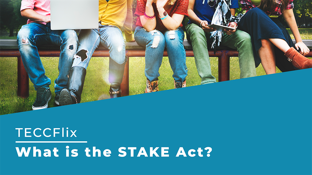 What is the STAKE Act TECCFlix
