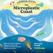 Microplastic Coast IG.png