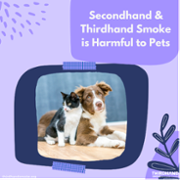 Secondhand-Thirdhand-Smoke-PETS_TSRC.png