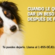 Spanish Dog Kiss Twitter.jpg