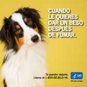 Spanish Dog Kiss Facebook.jpg