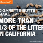 Litter in CA.jpg