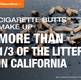 Litter in CA.jpg