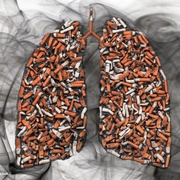 Lungs.jpg