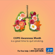 COPD Awareness Month .png