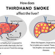 How-does-THS-affect-my-liver_TSRC.png
