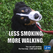 23_National Puppy Day Meme_Facebook.png