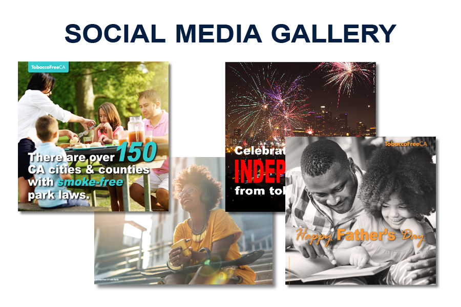 Social Media Gallery