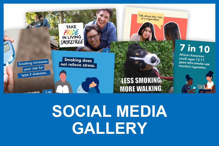 Social Media Gallery