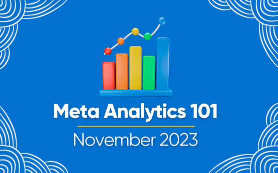 Meta Analytics 101: November 2023.